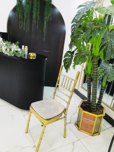 عکس تالار قصر کمیل