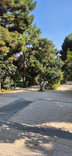 عکس پارک سیمرغ