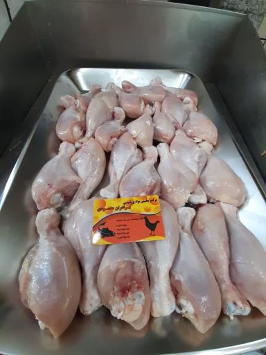 عکس پروتئینی برادران محمودی