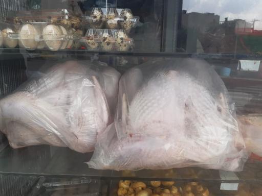 عکس پروتئینی برادران محمودی