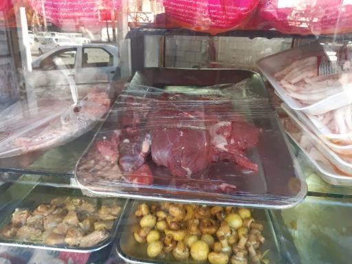 عکس پروتئینی برادران محمودی