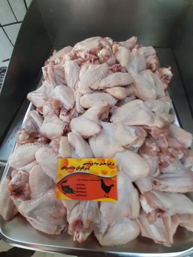 عکس پروتئینی برادران محمودی