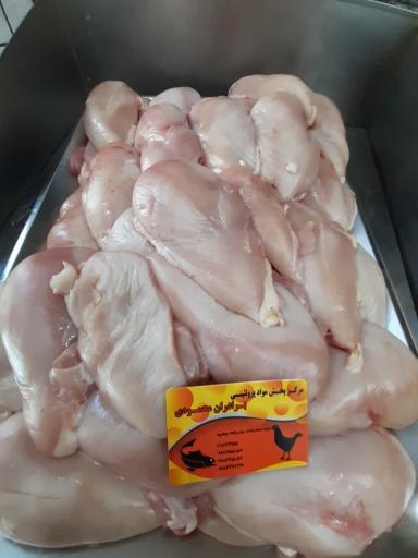 عکس پروتئینی برادران محمودی