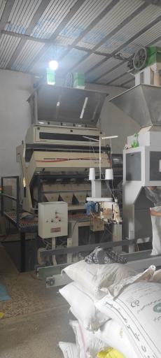 عکس برنجکوبی و لیزر ستاره جنوب 