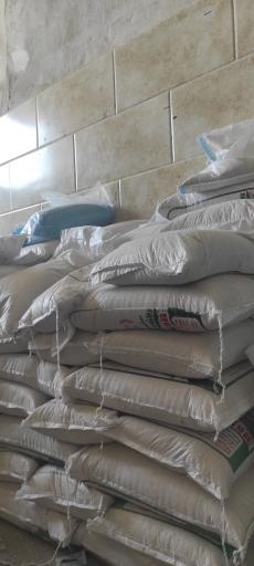 عکس برنجکوبی و لیزر ستاره جنوب 