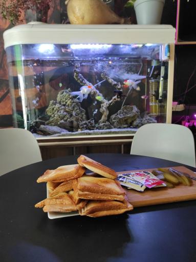 عکس کافی شاپ ناسا