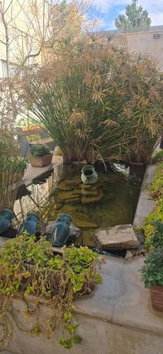 عکس شهرداری منطقه 5