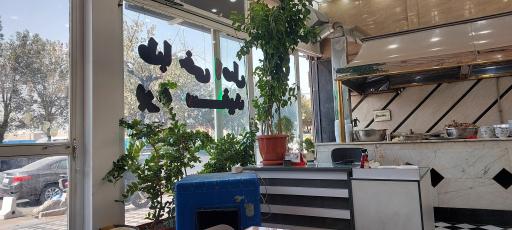 عکس طباخی بره سفید