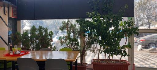 عکس طباخی بره سفید