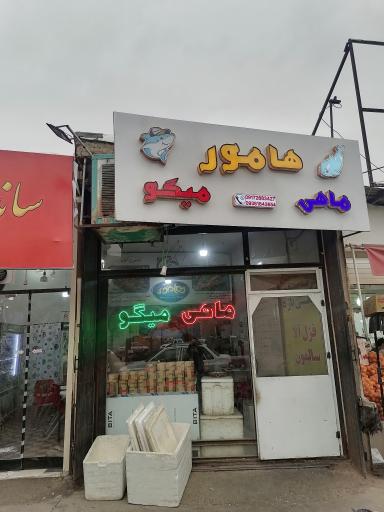 عکس ماهی و میگو هامور