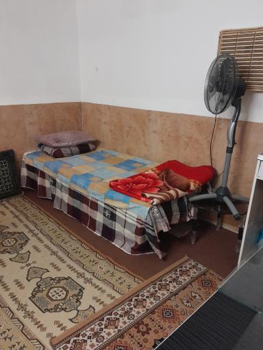 عکس سوئیت همتی