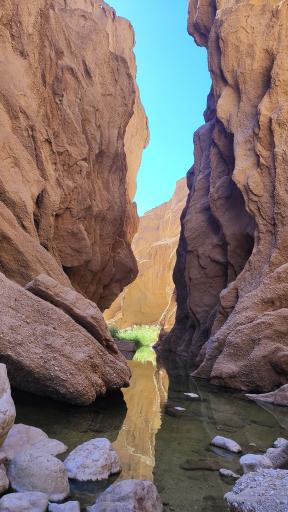 عکس دره کال جنی