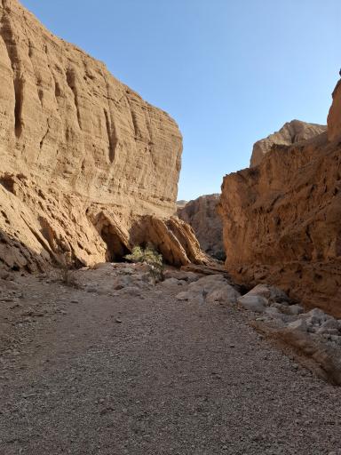 عکس دره کال جنی