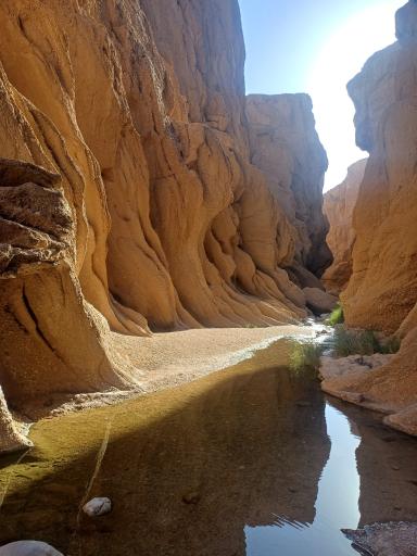 عکس دره کال جنی