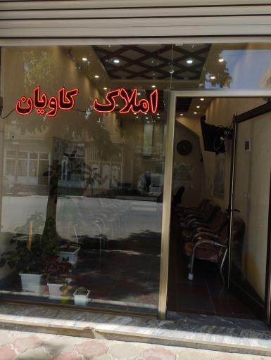 عکس مشاور املاک کاویان