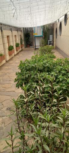 عکس استخر مهتاب (شرکت برق منطقه ای) اصفهان