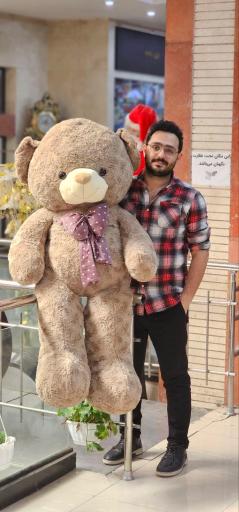 عکس عروسک طوسی تویز 