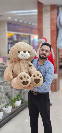 عکس عروسک طوسی تویز 