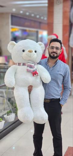 عکس عروسک طوسی تویز 