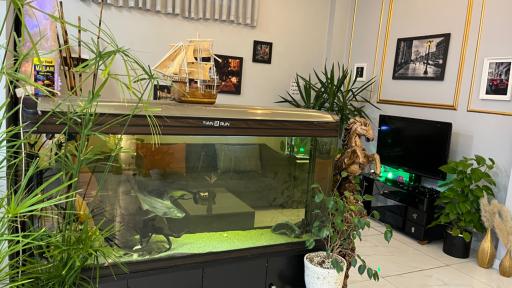 عکس کافه مات