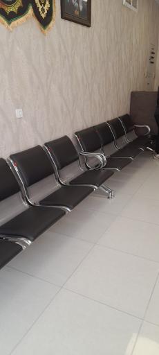 عکس بیرون بر نخل