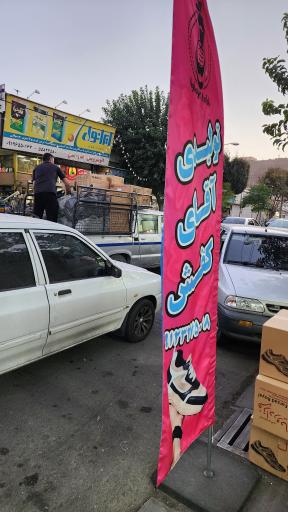 عکس تولیدی آقای کفش نورمحمدی