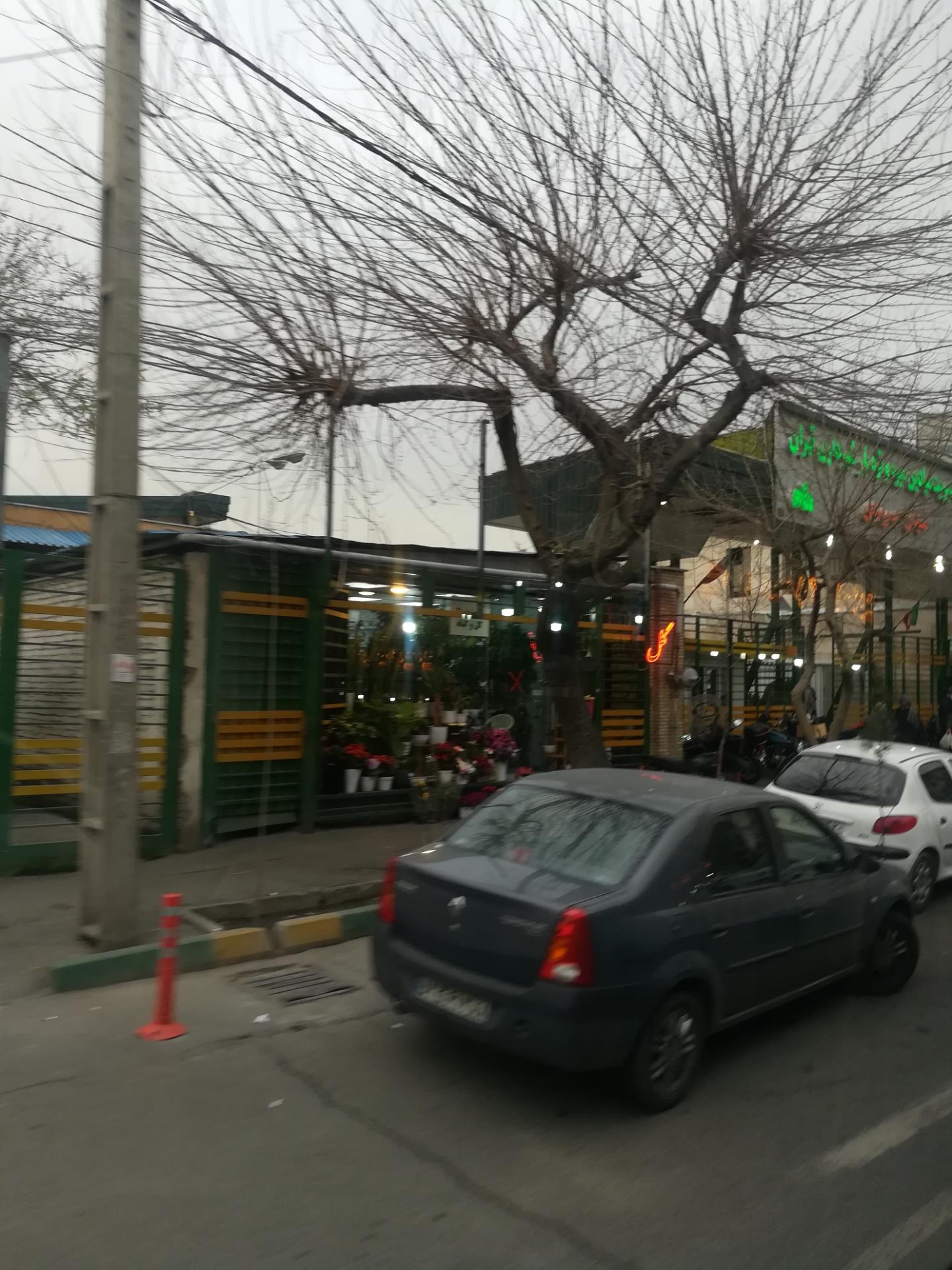 عکس گل فروشی