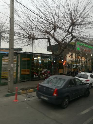 عکس گل فروشی