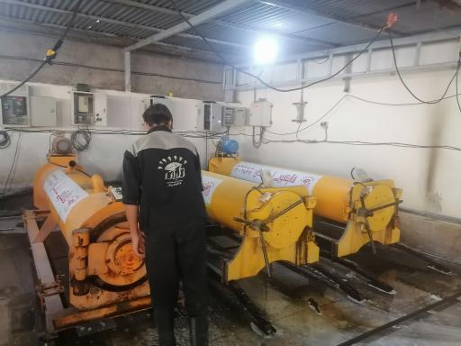 عکس قالیشویی تابان 