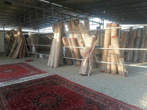 عکس قالیشویی تابان 