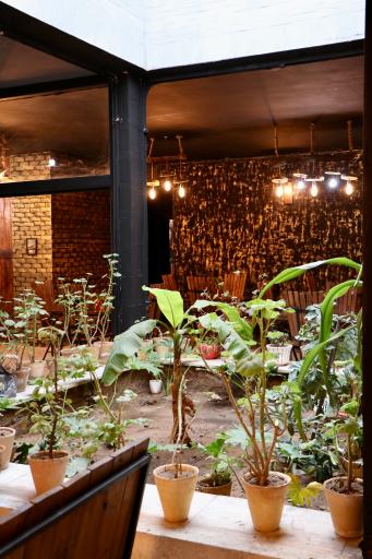 عکس رستوران و سفره خانه رنگ شب 