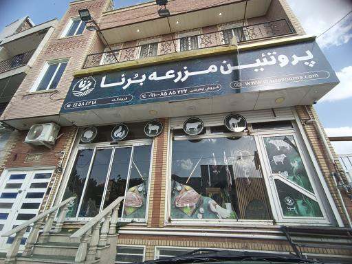 عکس پروتئین مزرعه برنا