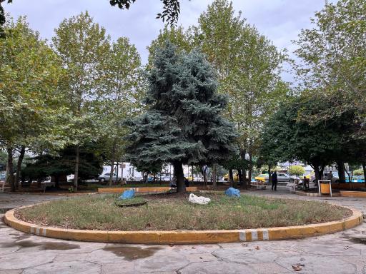 عکس بوستان شهرداری(سبزه میدان)