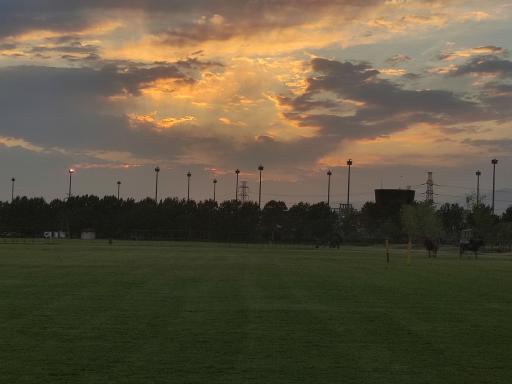 عکس مجموعه سوارکاری قصر فیروزه شهدا