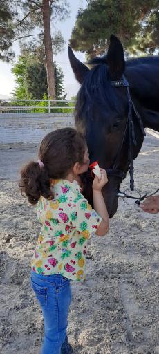 عکس مجموعه سوارکاری قصر فیروزه شهدا