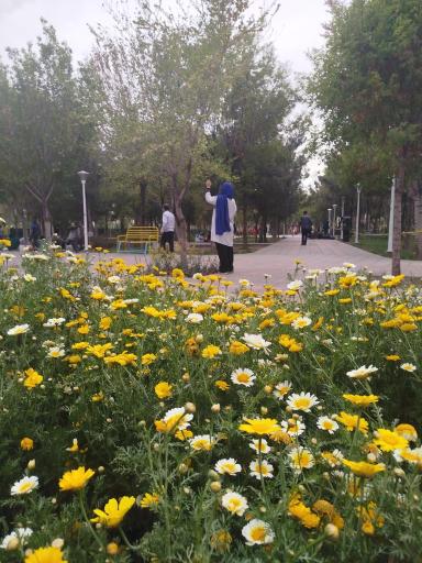 عکس بوستان صبا