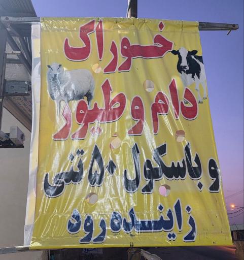 عکس خوراک دام و طیور زاینده رود