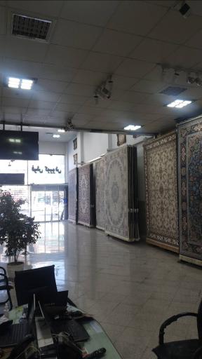عکس فرش ستاره کوروش کاشان