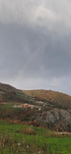 عکس ییلاق ماسال