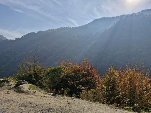 عکس ییلاق ماسال