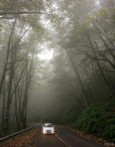 عکس ییلاق ماسال