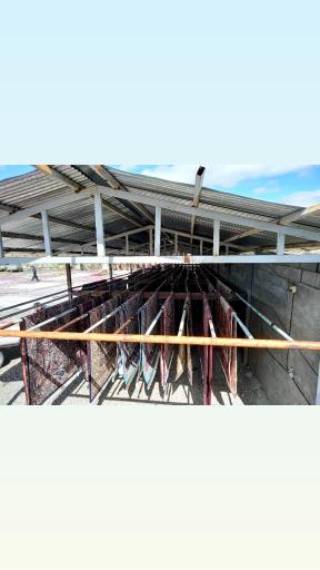 عکس قالیشویی تاپ