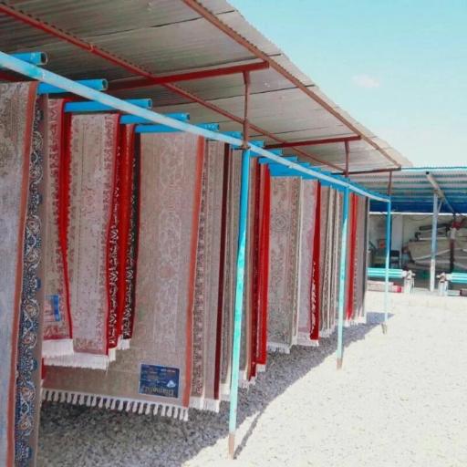 عکس قالیشویی تاپ