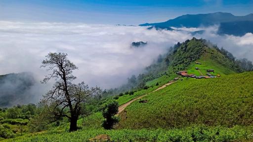 عکس ییلاق ماسال