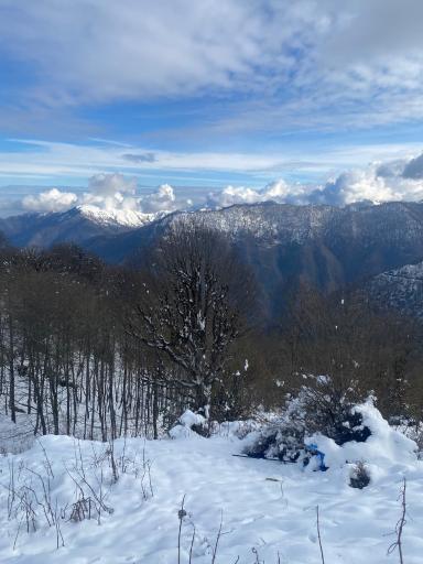 عکس ییلاق ماسال