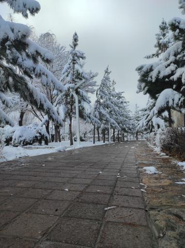 عکس بوستان شهدا
