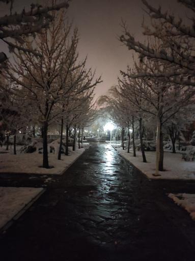 عکس بوستان شهدا