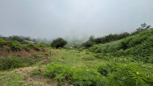 عکس ییلاق ماسال