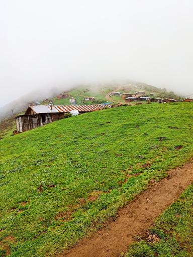 عکس ییلاق ماسال