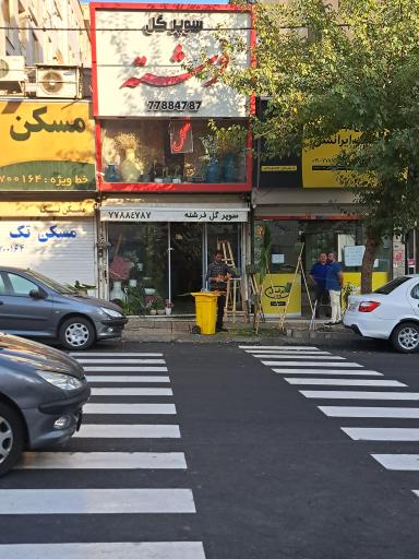 عکس گل فرشته